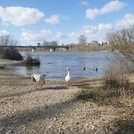 Chambre Monde Tout Confort Saint-Marceau Orléans Esterno foto